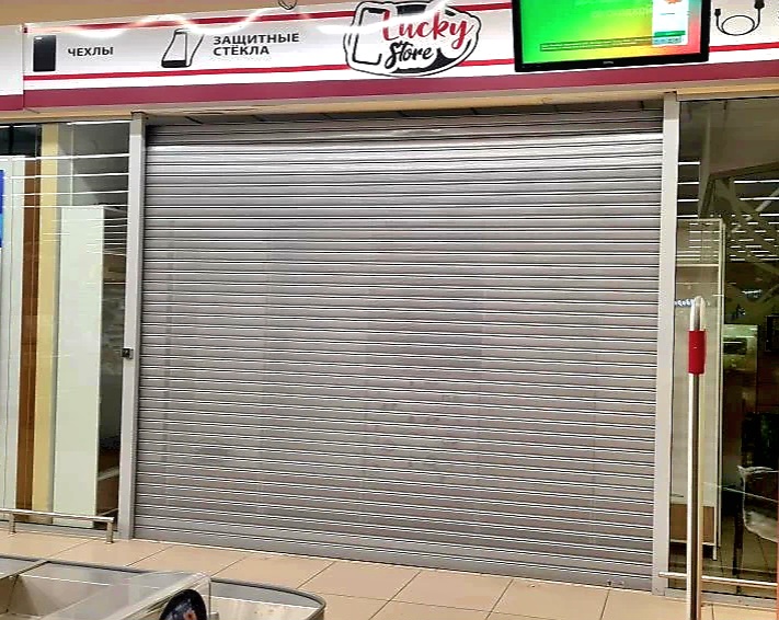 Роллетные ворота DoorHan в Брянске с установкой