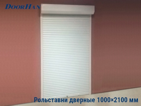 Рольставни на двери 1000×2100 мм в Брянске от 34993 руб.