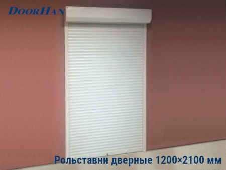 Рольставни на двери 1200×2100 мм в Брянске от 38546 руб.